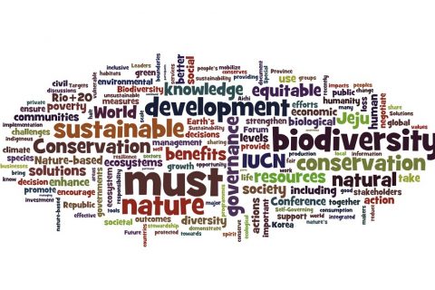 Biodiversity protection and nature-based solutions in focus of EASD activities