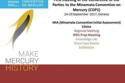 “Make Mercury History” – EASD participated at Minamata COP1 in Geneva
