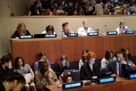 Serbia and Agenda 2030 – Shadow Report to Voluntary National Report presented by EASD President in UN New York
