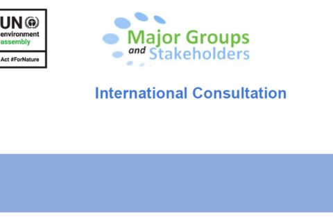 In advance of UNEA 5.2: EASD participated in the International Consultation for Major Groups & Stakeholders