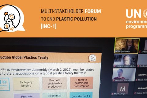 Intergovernmental Negotiating Committee to develop an international legally binding instrument on plastic pollution, is about to start – EASD is participating