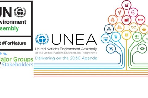 Invitation to civil society organizations to take part in the Regional consultation meeting for the United Nations Environment Assembly (UNEA 5)