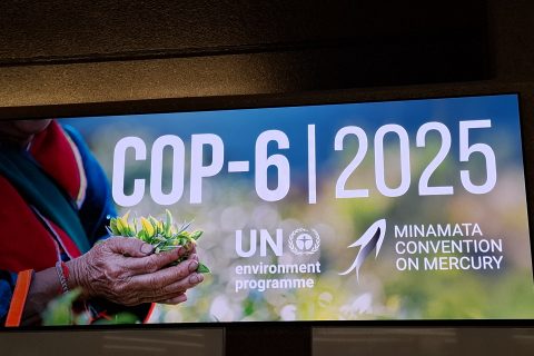 COP6 Minamata Convention on Mercury participation, November 2025, Geneva