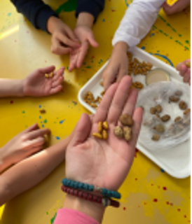 Citizen science in the Eco-Schools network in Serbia