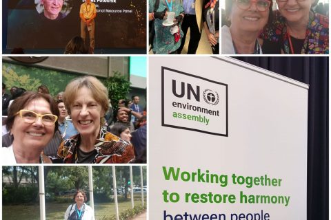 (Some) reflections from UNEA6@UNEP2024 participation