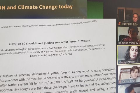 EASD and European Climate Pact Ambassador participate at ACUNS Annual Meeting