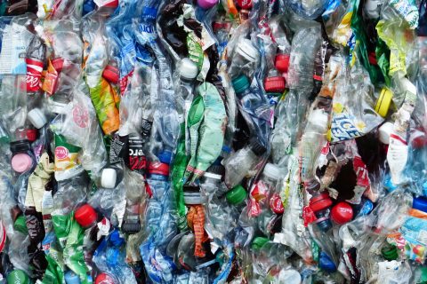 EASD more focused to activities against plastic pollution