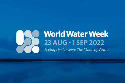 “Svetska nedelja vode”, Stokholm online i uz lično prisustvo, od 23. avgusta do 1. septembra 2022.